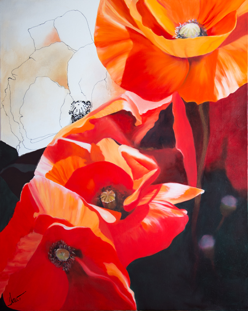 coquelicots fleurs rouge peinture doroT